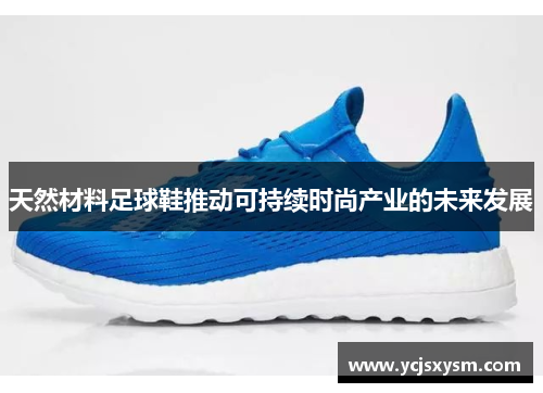 天然材料足球鞋推动可持续时尚产业的未来发展